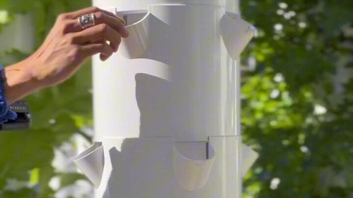 الزراعة بدون تربة