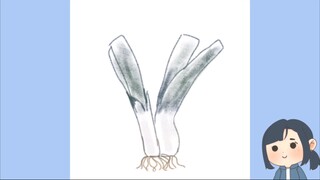 Menggambar Daun Bawang
