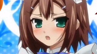 [10 Paha Teratas] 108: Siapakah "Bos" yang sebenarnya! "Hideyoshi" pria dan wanita yang tak bisa dib