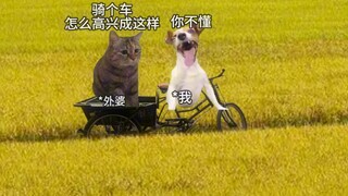 生活再糟糕，也别忘记曾经有人爱你