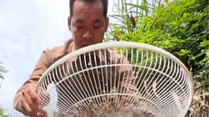 It tastes just like it did when I was a kid—no meat is what makes it special! #RuralRevitalization #