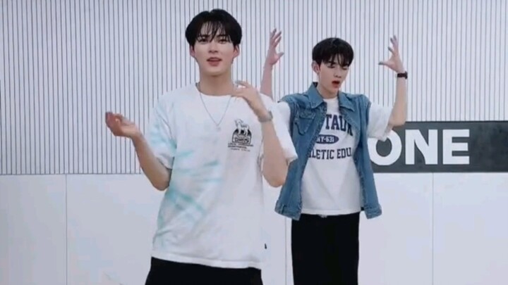 ZB1｜Chương Hạo, Thành Hàn Bân lại nhảy Jelly Pop và Hot summer!!! Đừng quan tâm cuộc sống chuột của 