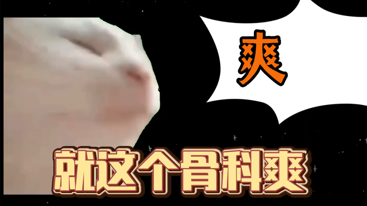 [Cat Meme] About How I Thought My Older Brother Was Going to Marry Me, Only to Unexpectedly Develop 