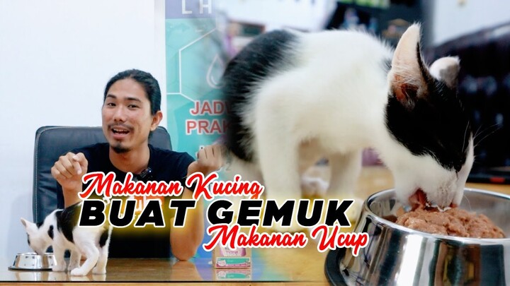 Makanan Kucing BUAT GEMUK Makanan Ucup