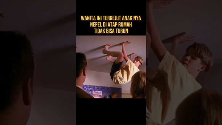 PRIA INI PANIK NEMPEL DI ATAP RUMAH TAPI TIDAK BISA TURUN #alurceritaflim #film