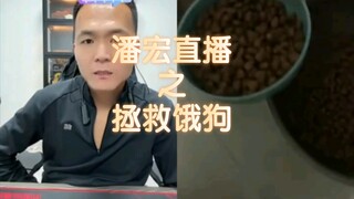 [Phát lại trực tiếp Phan Hồng] "Mong trên đời này không còn chó đói"