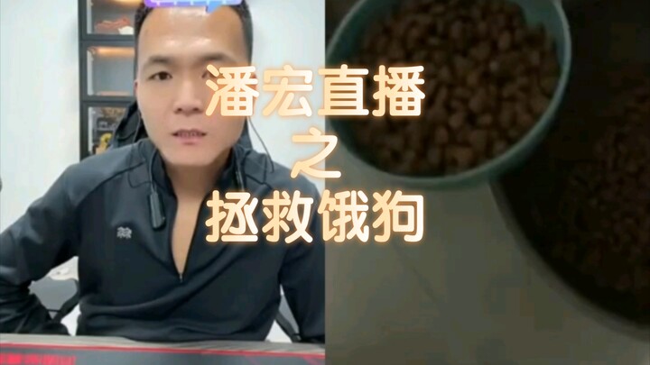 [Pan Hong Live Replay] "May there be no hungry dogs in the world"