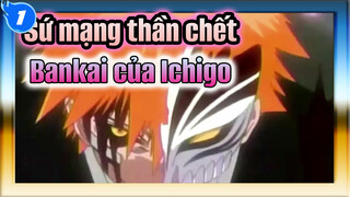 [Sứ mạng thần chết] Các khả năng Bankai khác nhau của Ichigo Kurosaki !!!_1