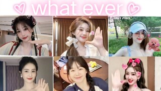 【就要甜妹！】虞书欣&赵露思&吴宣仪&白鹿&徐梦洁&毛晓彤 whatever手势舞挑战