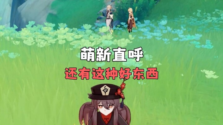 Newbie: Is there really such a good thing?