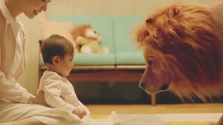 โฆษณาอบอุ่นใจจาก Amazon ญี่ปุ่น: โกลเด้นรีทรีฟเวอร์ไม่ผิดหวังจริงๆ ที่ได้ชื่อว่าเป็นหนุ่มหล่อแห่งโลก