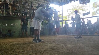 Fight no. 3 Draw march 9, 2023 Baliwag Cockpit Arena