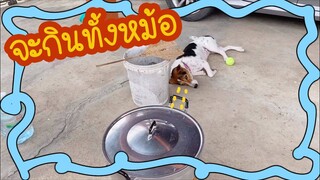 โลกของแสนดี ตอน มันไม่ใช่ของหนู!