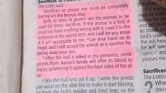 Daily Verse.        Leviticus 1:6-9