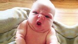 Try Not to Laugh with Funniest Angry Baby 😠 Funny Baby Videos
