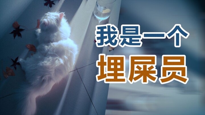 Saya seorang penyelundup kucing. Tugas saya adalah mendatangi rumah-rumah kucing kaya dan mengubur k