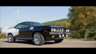 CATALOG 'CUDA: THE TUXEDO HEMICUDA IS ALIVE AND WELL. WATCH THE MIRACLE.