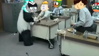 整活了2，当伽罗终于被导演的ooc气死时。伽罗：这个世界终究是疯了包括我……
