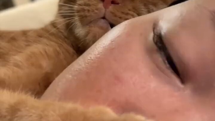 The kitten responds to every single thing I say, but it’s not very filial.