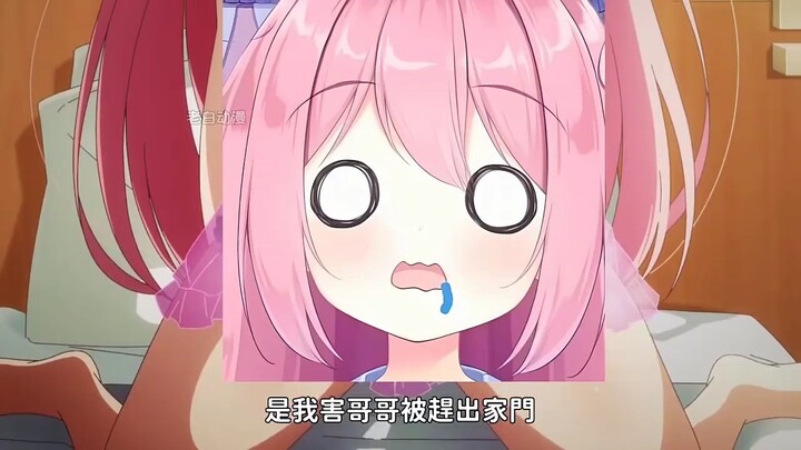 二次元 动漫解说 动漫剪辑 番剧推荐