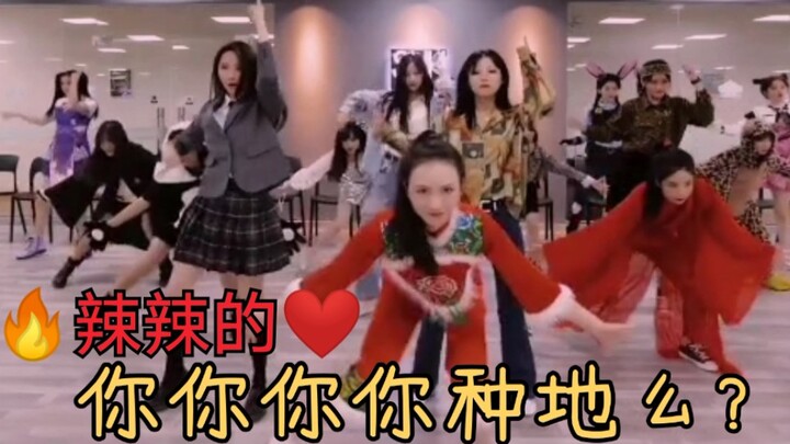 【你要种地吗？】火辣辣的心，火辣辣的情，火辣辣的表演全都是劳动