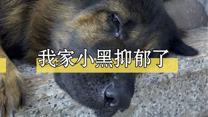 万物皆有裂痕，那是阳光照进来的地方。