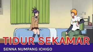 Senna Dan Ichigo Tidur Sekamar 😱