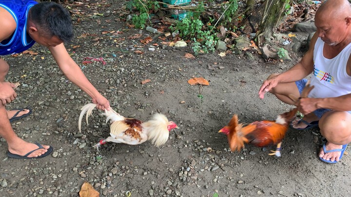 ANG MAUTAK NA WHITECHOCO!