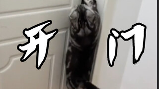 No cat food is eaten for free!