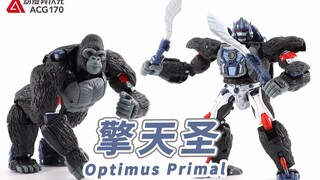 【机甲速变】超能勇士中的黑猩猩队长！变形金刚：赛博坦之战 王国 航行家级 擎天圣