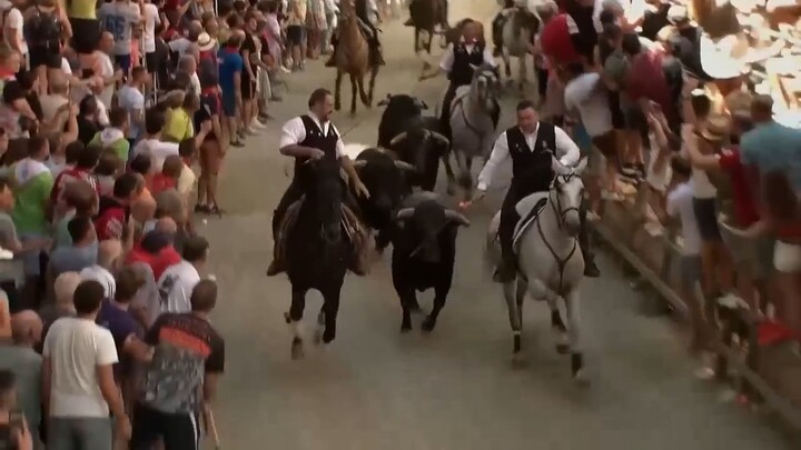 entrada de caballos y toros fiesta de interes turistico internacional segorbe