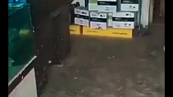 เจ้านายถูกต้อง ผมตาฝาดเอง