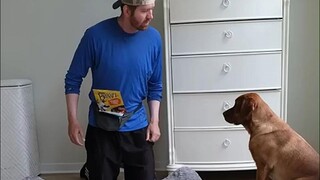 Teach your dog the consequences of pushing things