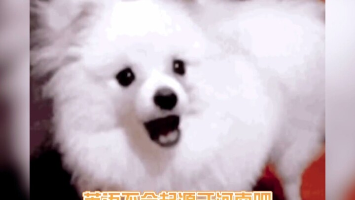 Chẳng lẽ tiếng Anh thực sự bắt nguồn từ Hà Nam? Giải thưởng bình luận giải trí