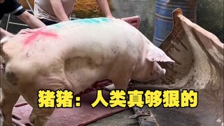 หมู หมู : มนุษย์ช่างโหดร้าย
