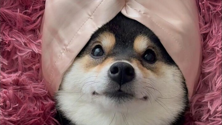 สปาสำหรับสุภาพสตรี