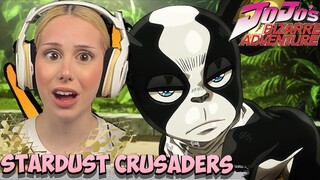 IGGY VS PET SHOP FEROCIOUS FIGHT JJBA Stardust Crusaders Episode 38 REACTION