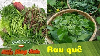 Chuyện quê ngày dịch - RA VƯỜN HÁI RAU | Đặc sản miền sông nước