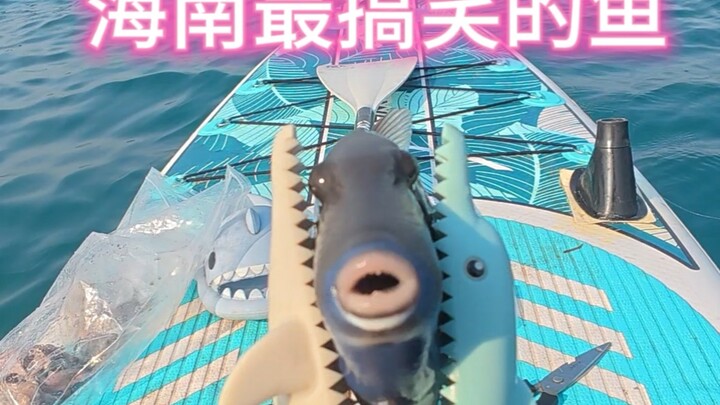 เหมือนกำลังตกปลาในพิพิธภัณฑ์สัตว์น้ำเลย ปลาหลากหลายสายพันธุ์ต่างก็โผล่มาให้เห็นหน้ากันเต็มไปหมด!