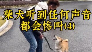 点开前没想到这么好笑