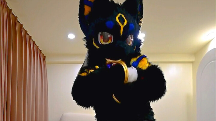 “Dance Cat” – Anubis Shakes It Up!