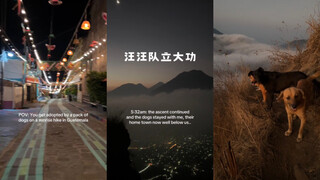 跟汪汪队一起看日出🌅💗