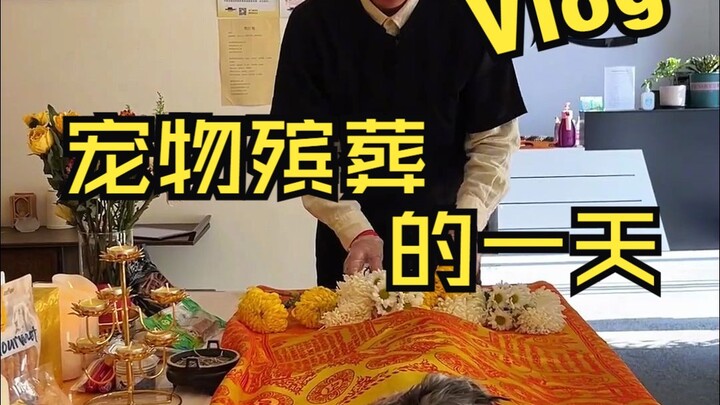 ลูกหมาหลายตัวที่มาที่นี่ เวลาจากไปมักจะเจ็บปวดมาก…