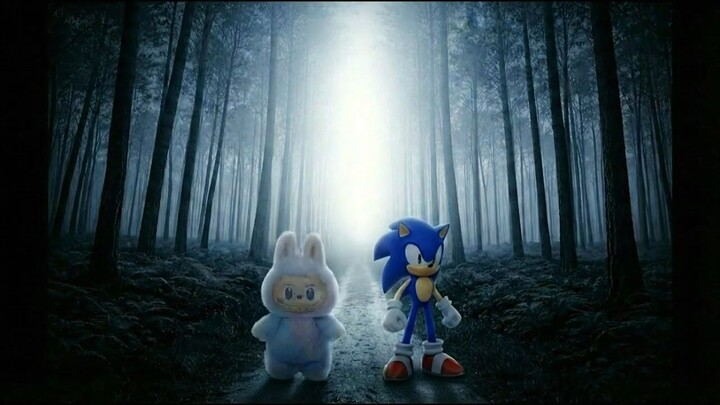 #sonic vs labubu #cartoon #games #animation