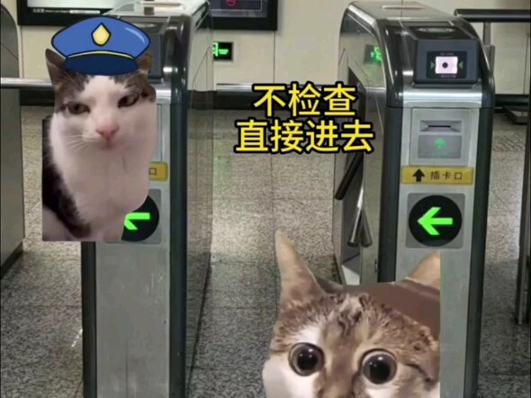 Mahasiswa dari Daratan Pertama Kali Kuliah di Hong Kong