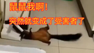 It turns out eating more nuts really can boost brainpower!