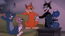 095-Smarty Cat [1955]