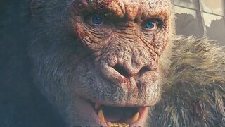 Rampage (2018) | The Rock Superhit Hollywood Movie / Gorilla movie