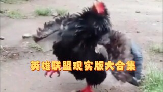 英雄联盟现实版大合集