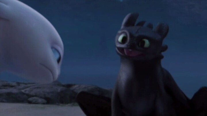 ในกรณีที่คุณยังไม่เคยเห็นวิดีโอต้นฉบับของ Toothless Dancing